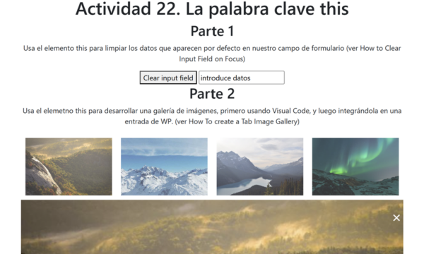 Actividad 22. La palabra clave this