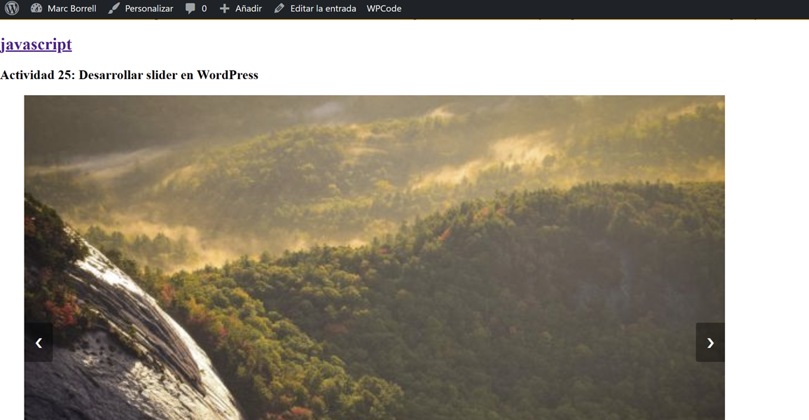 Actividad 25: Desarrollar slider en WordPress