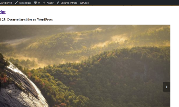 Actividad 25: Desarrollar slider en WordPress